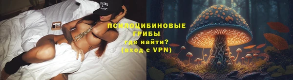 трава Алзамай