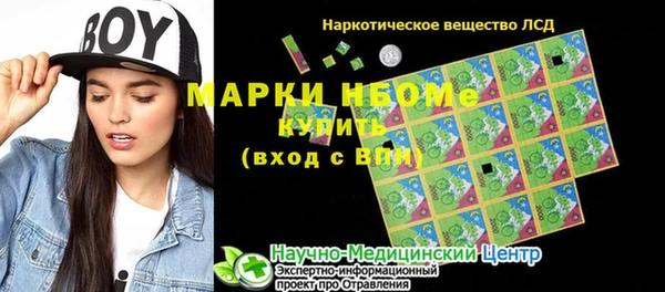 мет Алексин