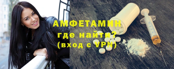 мет Алексин