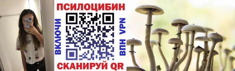 Псилоцибиновые грибы Psilocybe  Ликино-Дулёво 